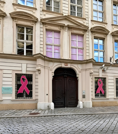 Zwei rosa Schleifen vor dem Eingang des Bundesministeriums am Minoritenplatz in Wien