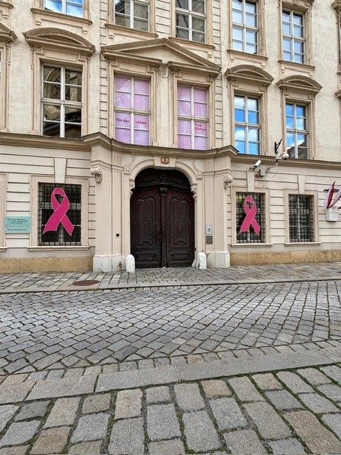 Zwei rosa Schleifen vor dem Eingang des Bundesministeriums am Minoritenplatz in Wien